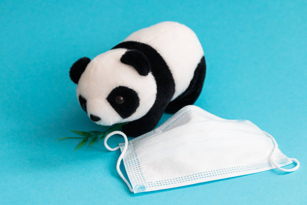 istock panda toy and medical mask on blue background 1480107344