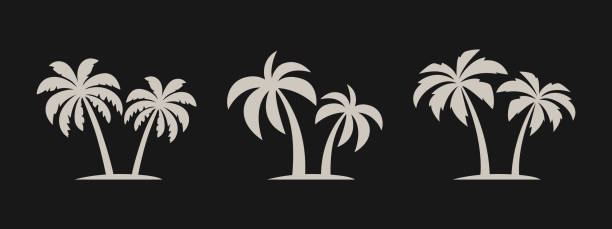 illustrations, cliparts, dessins animés et icônes de palmiers vectoriels, jeu d’icônes de palmier isolé. silhouettes de palmiers. modèle de conception pour le concept tropical, vacances, plage, été. illustration vectorielle. vue de face - hawaii islands beach island palm tree