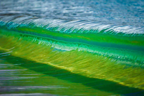 istock Miniature macro wave breaking on shoreline with stunning detail 1480110696