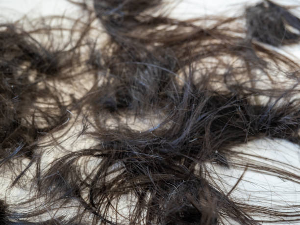 istock Cropped hair on a light floor. salon. 1480115165