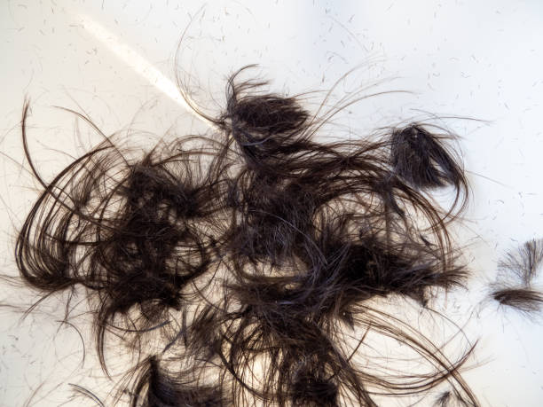 istock Cropped hair on a light floor. salon. 1480115776