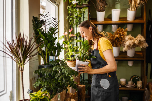 istock Arranging potted plants at flower shop 1480118146