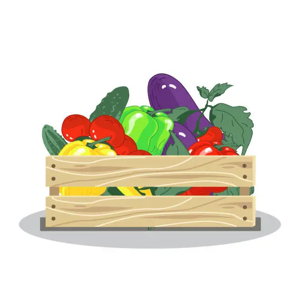 Vector illustration of box with vegetables.