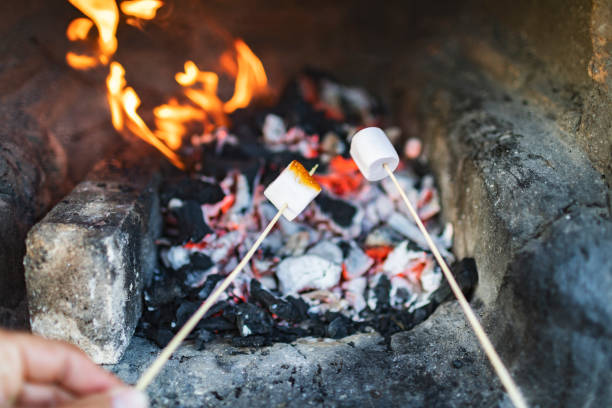 istock Close up of hands holding marshmallows on stick at the fire 1480120575