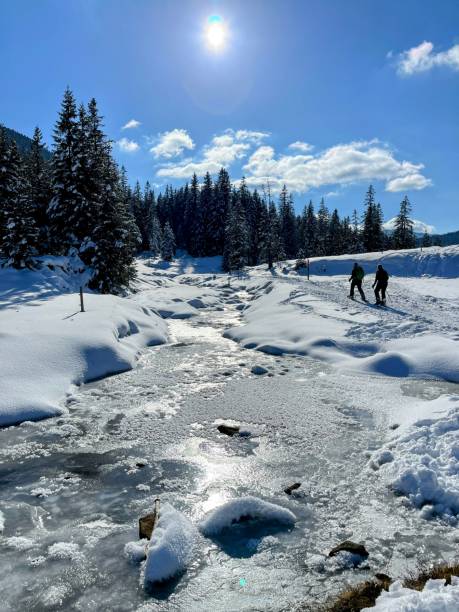 istock Snowshoeing in Switzerland 1480121885