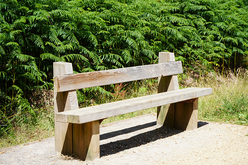 Wooden park bench in front of the bush