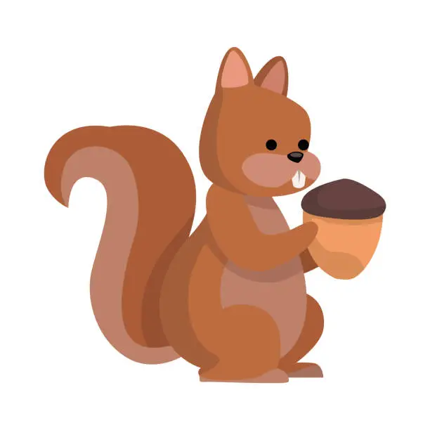 Vector illustration of cute squirrel with nut