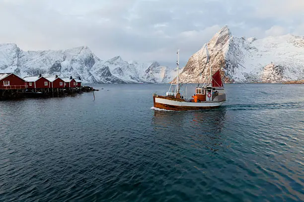 A fishing boat returns to harbour at Hamnoy, Lofoten Islands, Norway. January 2012