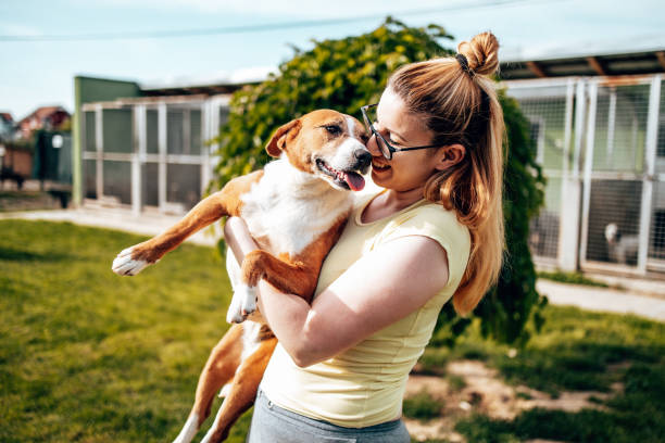 istock Young woman in animal shelter 1480133403