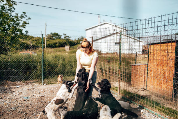 Young woman in animal shelter