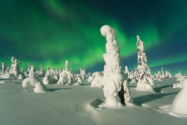 istock Northern lights over snow-covered trees and white landscape during a full moon in Riisitunturi National Park 1480147695