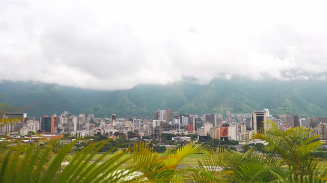 Panoramic view through palm leaves of Caracas downtown. High buildings with the mountains on the background. The most dangerous cities in the world