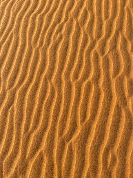 メルズーガ、エルグチェビ砂丘、モロッコ、アフリカ:サハラ砂漠の砂丘の詳細、幾何学模様を形成する砂粒 - desert landscape morocco sand dune ストックフォトと画像