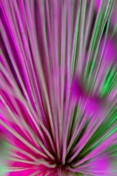 istock Abstract photo of onion bloom flower under colored light for science and technology 1480161162