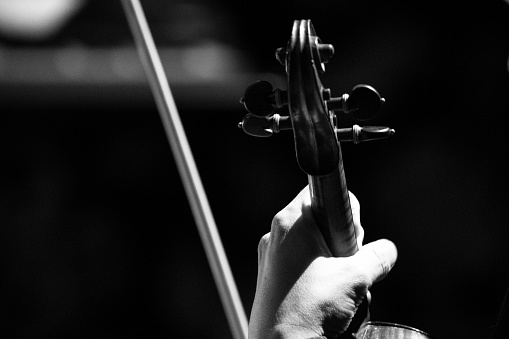 black and white violinist hand detail