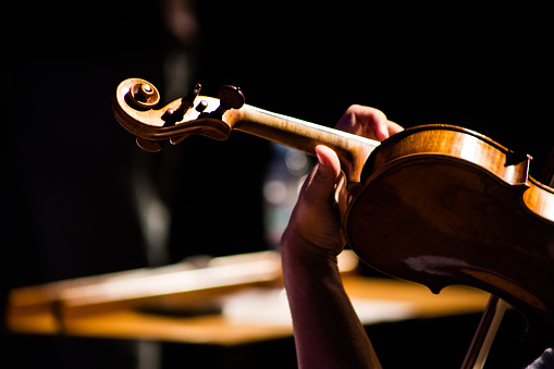detail of hand of musician holding violin during concert