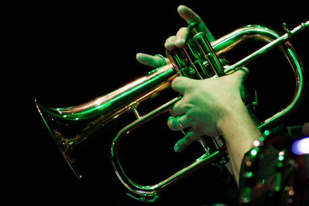 musiker handdetail trompete spielen 2 - brass instrument trumpet classical music flugelhorn stock-fotos und bilder