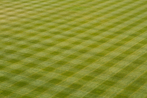 Baseball Outfield Grass stock photo