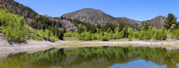 istock Galena forest hiking Church's Pond 1480170782