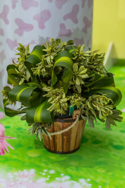 istock vase with plants decorating party 1480175317
