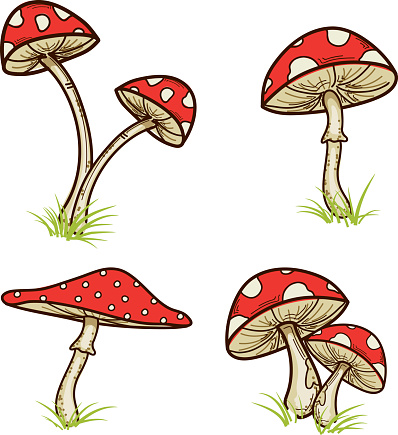 A set of various mushrooms with small sprigs of grass.