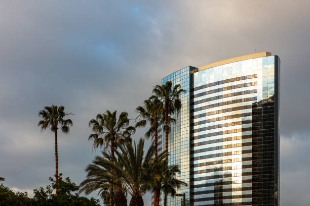 Modern skyscraper and palm trees in downtown San Diego on an overcast morning.