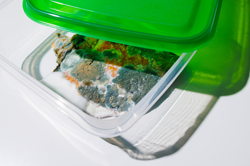 Waste of food. Spoiled salmon with mold in plastic luncbox on the table.