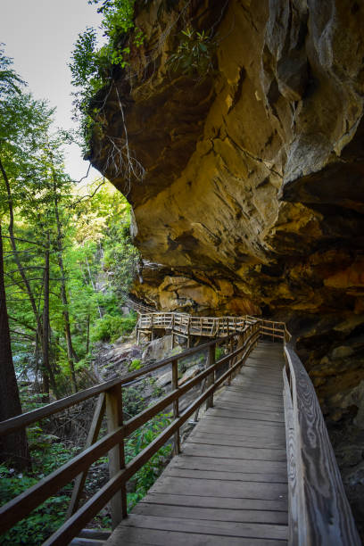 istock Pedestrian bridge under cliff at Audra State Park, West Virginia 1480200420