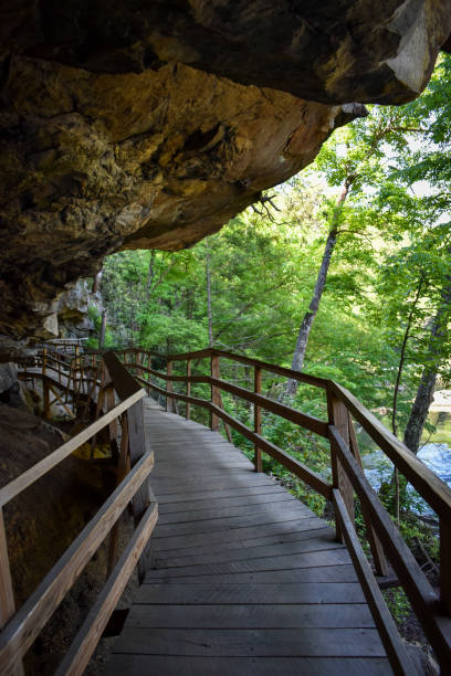 istock Pedestrian bridge under cliff at Audra State Park, West Virginia 1480200421