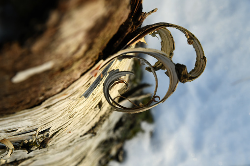 rusted iron ring
