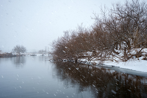 winter landscape by a lake in Swedish nature - the lake is called Drevviken and is located in Tyresö municipality near the city of Stockholm