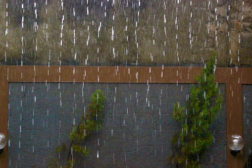 Raindrops in the backyard