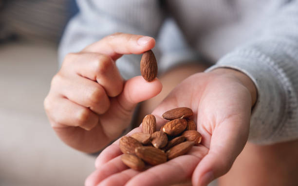 istock Closeup image of hands holding and showing almonds 1480208937