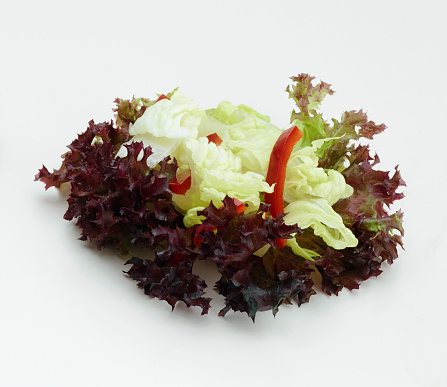 Lettuce and greens on white background