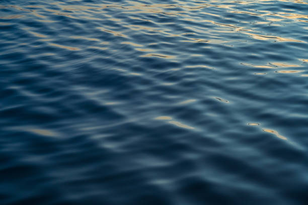 istock Sunset water reflect ripples at sun light. Abstract golden reflection on water sunset 1480215748
