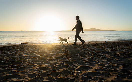 Man walking dog at Milford Beach. Sun rising over Rangitoto Island. Auckland.