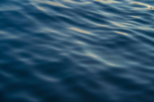istock Sunset water reflect ripples at sun light. Abstract golden reflection on water sunset 1480218672
