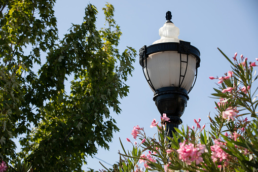 A retro style gas lamp hanging on a pole between many beautiful colorful bougainvilleas in Aegean little town. It is lightening the way to the door entrance. Romantic background with copy space.