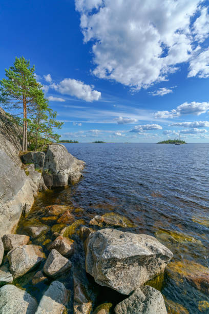 istock Beautiful stones and pine trees on the lake. 1480223641