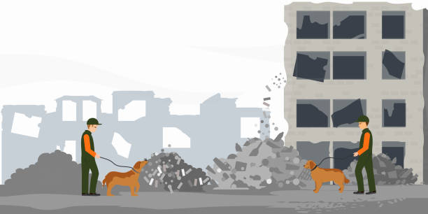 ilustrações de stock, clip art, desenhos animados e ícones de search and rescue troops search through destroyed buildings with the help of assistance dogs. - chinese temple dog