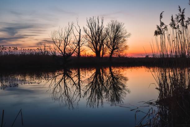 istock Beautiful summer evening landscape. 1480227087