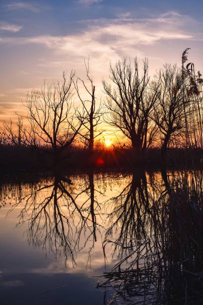 istock Beautiful summer evening landscape. 1480227088