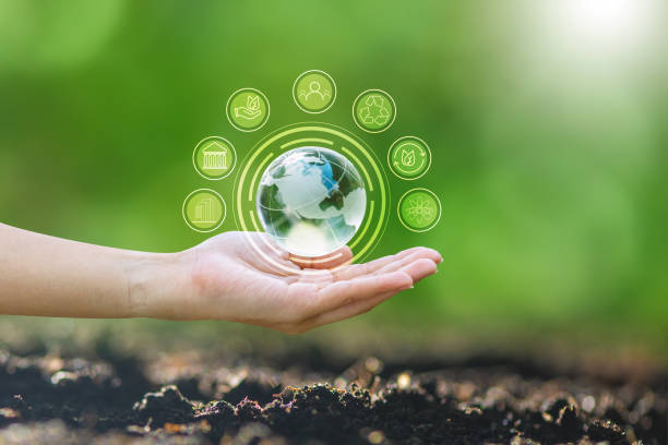 istock Renewable energy concept Earth Day or environment protection Hands protect forests that grow on the ground and help save the world. 1480227117