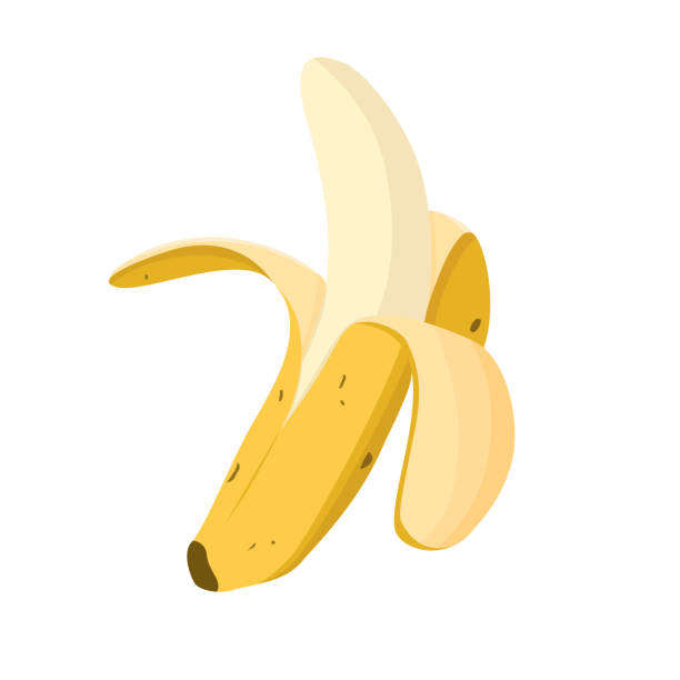 ilustrações, clipart, desenhos animados e ícones de aberto banana isolado no fundo branco. - banana peeled banana peel white background