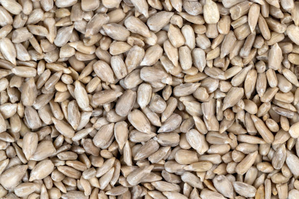 istock Sunflower seeds peeled from the black shell 1480234440