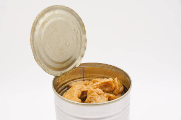 istock Vegetarian braised gluten, Seitan Tidbits as mock meat 1480234764