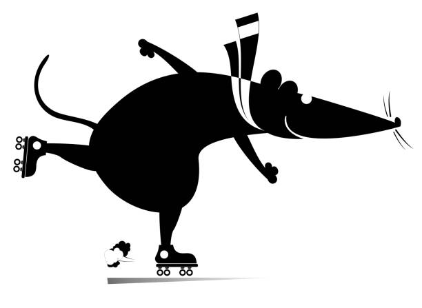 Cute rat or mouse riding roller skates Active life style. Cartoon rat or mouse riding roller skates. Black and white opossum silhouette stock illustrations