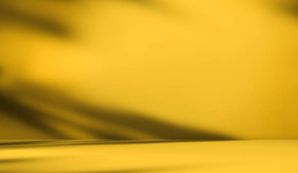 istock Loft Product Summer Studio Room Background,Yellow Shadow Leaves on Podium Pland Cement Concrete Backdrop,Light Overlay from Window House Floor Wall Table Kitchen Counter Bar Desk Shelf Template 1480239080