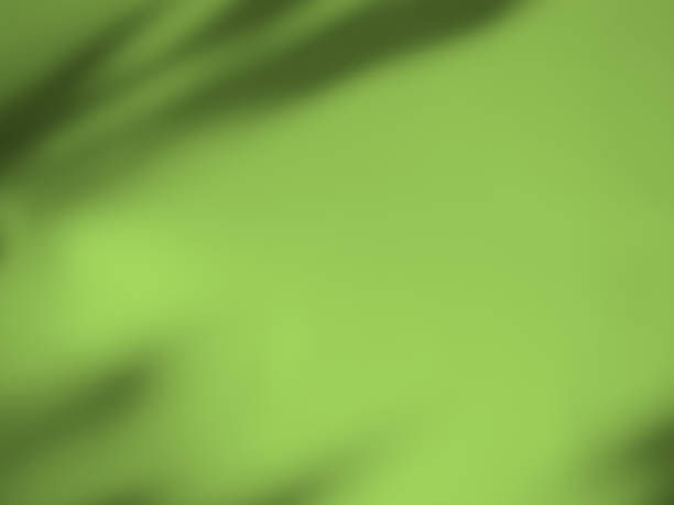 istock Abstract Background Summer Spring Autumn,Overlay Light Shadow Green Leaves from Window House on Wall Floor Mable Cement Concrete Backdrop 1480239695