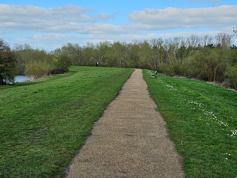 Path way with wild flower covering the grass